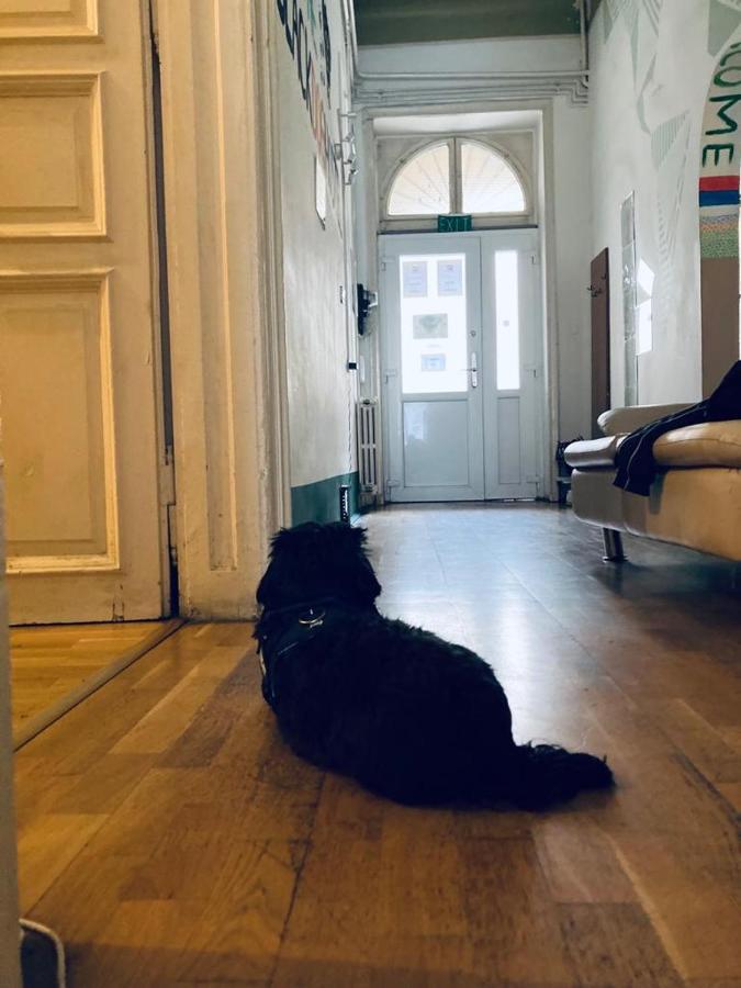 Black Dog Hostel Budapest Exteriör bild
